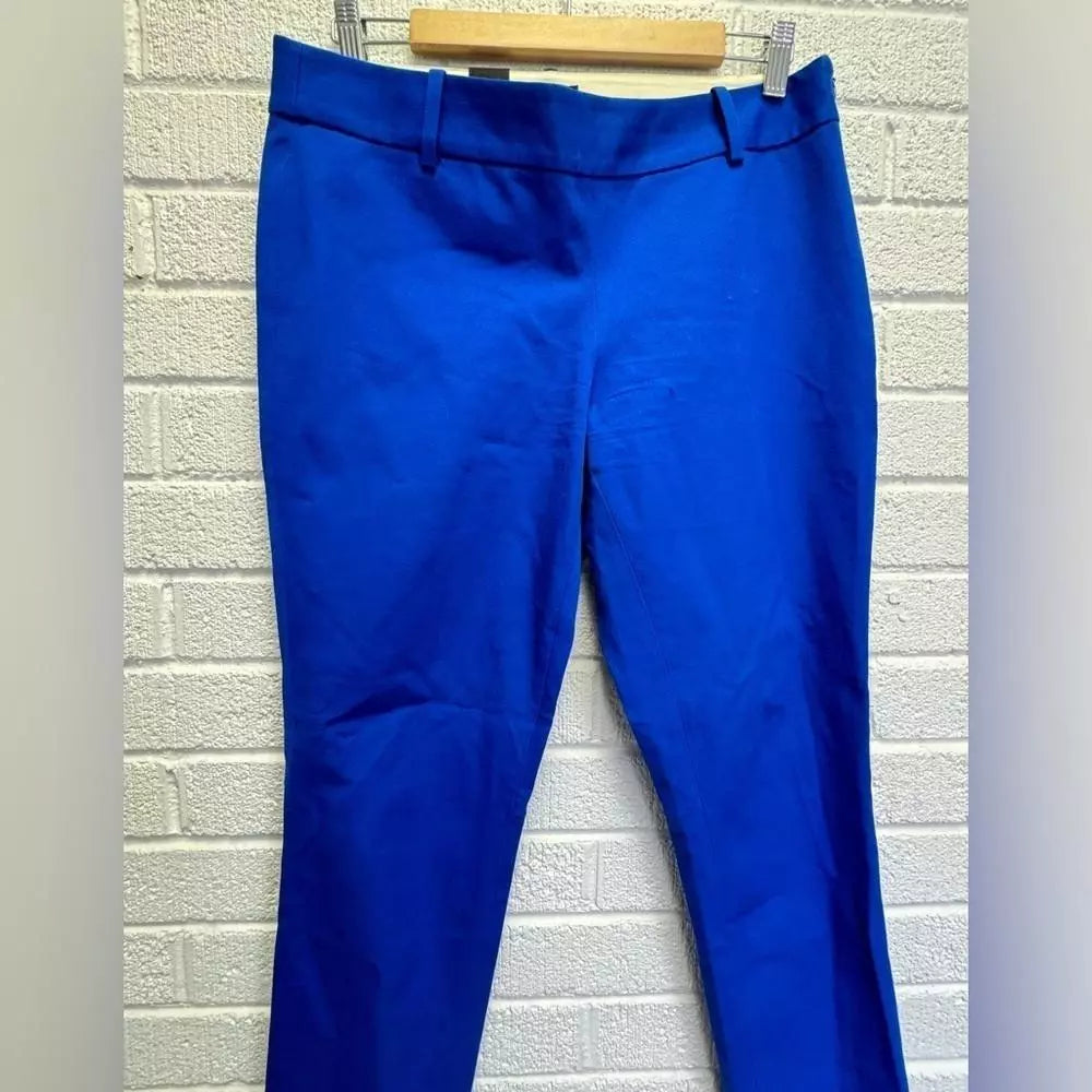 Stylish T. Babaton Blue Dress Pants - Size 10